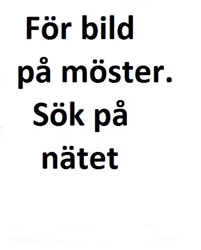  130/90-10 TL 61M K413